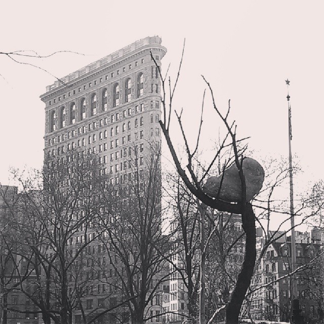 Flatiron Building and Bronze Tree with Boulder